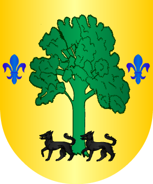 ESCUDO SIGUIENTE