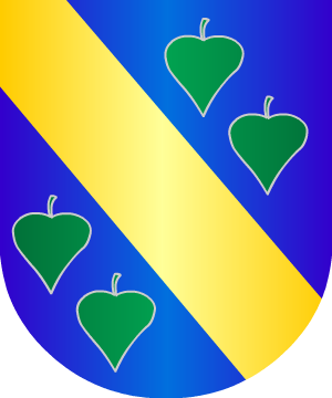 ESCUDO ALEATORIO
