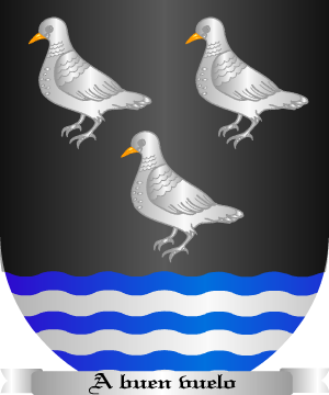ESCUDO ALEATORIO