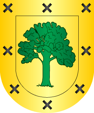 ESCUDO SIGUIENTE