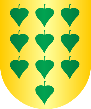 ESCUDO SIGUIENTE