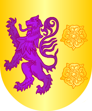 ESCUDO ALEATORIO