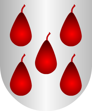 ESCUDO SIGUIENTE