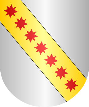 ESCUDO PRECEDENTE