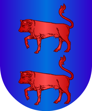 ESCUDO PRECEDENTE
