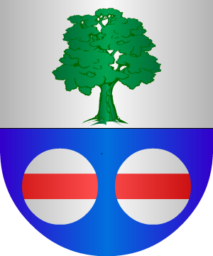ESCUDO PRECEDENTE