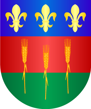 ESCUDO PRECEDENTE