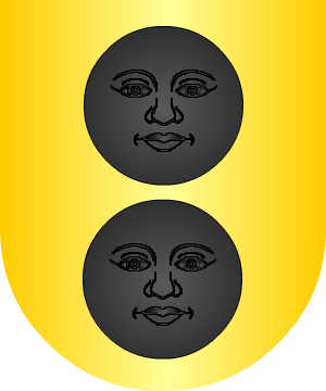 ESCUDO ALEATORIO
