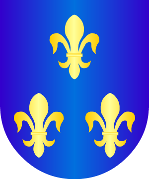 ESCUDO SIGUIENTE