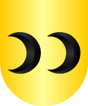 ESCUDO ALEATORIO