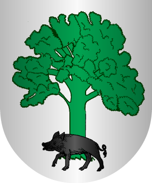 ESCUDO SIGUIENTE