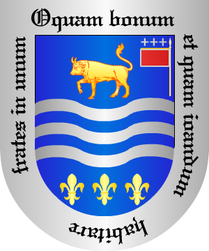 ESCUDO SIGUIENTE