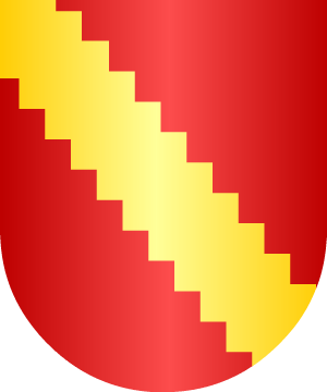ESCUDO SIGUIENTE