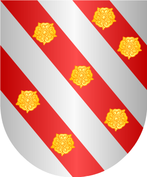 ESCUDO SIGUIENTE