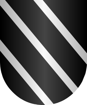 ESCUDO PRECEDENTE