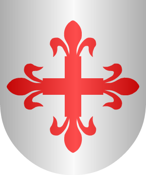 ESCUDO ALEATORIO