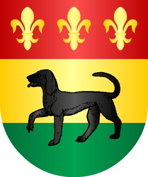 ESCUDO PRECEDENTE