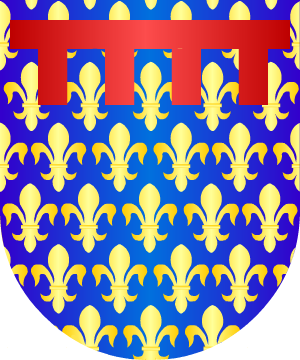 ESCUDO SIGUIENTE