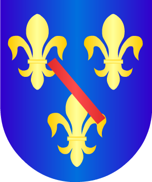 ESCUDO ALEATORIO