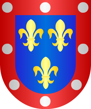 ESCUDO ALEATORIO