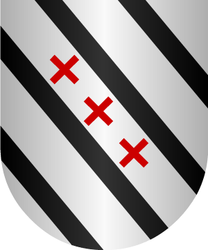 ESCUDO SIGUIENTE