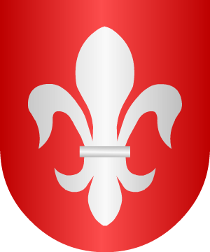 ESCUDO ALEATORIO