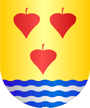 ESCUDO ALEATORIO