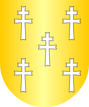ESCUDO SIGUIENTE