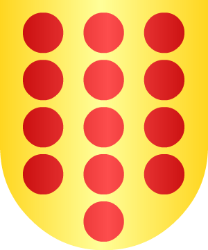 ESCUDO SIGUIENTE