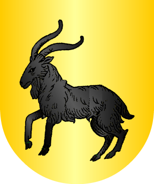 ESCUDO ALEATORIO