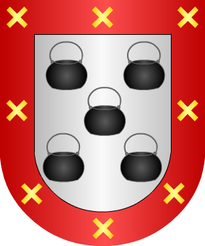 ESCUDO ALEATORIO