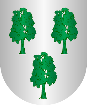 ESCUDO SIGUIENTE