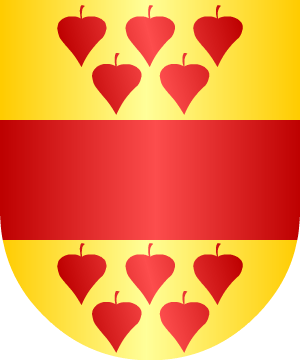 ESCUDO SIGUIENTE