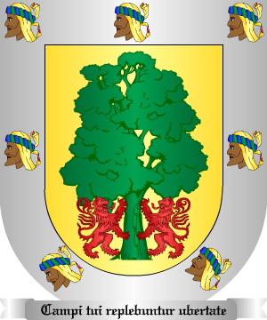 ESCUDO SIGUIENTE