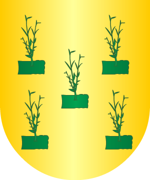 ESCUDO ALEATORIO