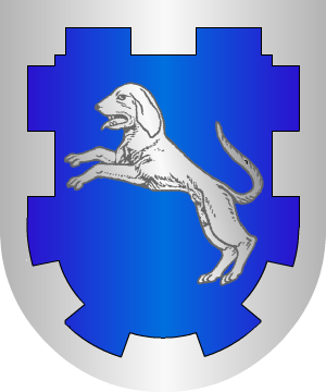 ESCUDO ALEATORIO