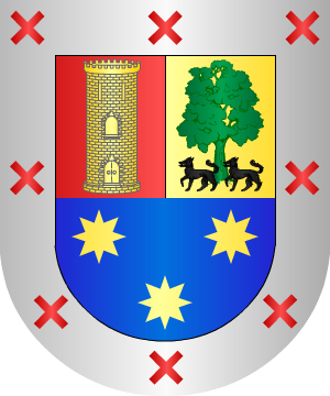 ESCUDO SIGUIENTE