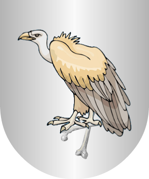 ESCUDO ALEATORIO