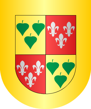 ESCUDO ALEATORIO