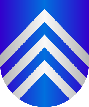 ESCUDO ALEATORIO