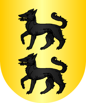 ESCUDO ALEATORIO