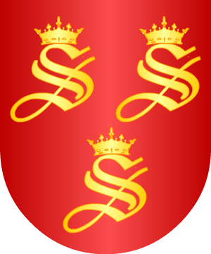 ESCUDO ALEATORIO