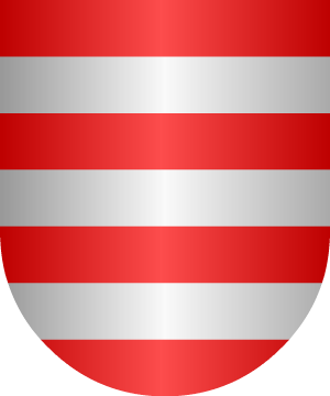 ESCUDO SIGUIENTE