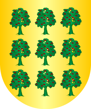 ESCUDO ALEATORIO