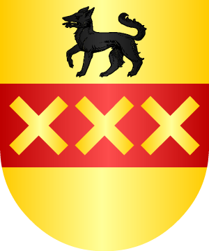ESCUDO SIGUIENTE
