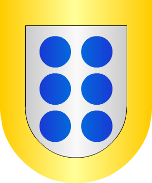 ESCUDO ALEATORIO