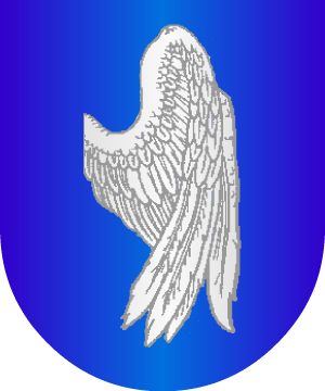 ESCUDO ALEATORIO