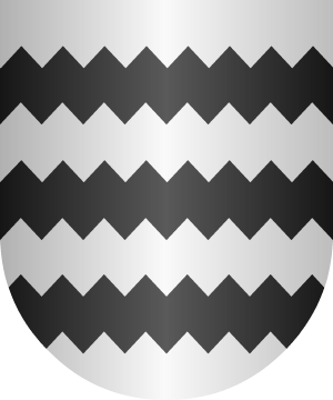 ESCUDO SIGUIENTE