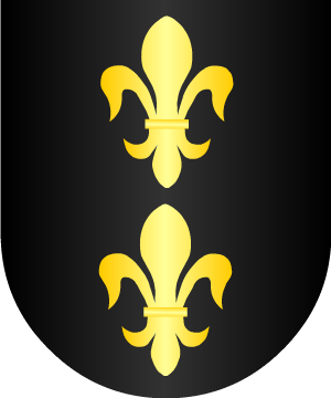 ESCUDO ALEATORIO