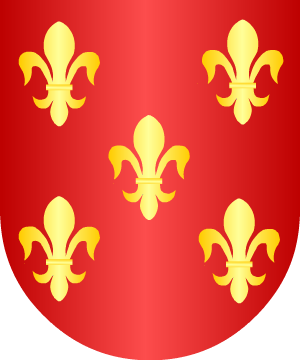 ESCUDO SIGUIENTE